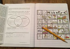 Domains and Kingdoms Worksheet with Six Kingdoms Of Life Interactive Notebook Puzzle