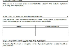 Domestic Violence Safety Plan Worksheet Also Domestic Violence Safety Plan Template Download and Out E Indicators
