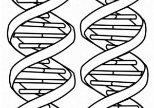 Double Helix Coloring Worksheet Answers or Of Dna Coloring Pages Coloring Pages Pinterest