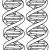 Double Helix Coloring Worksheet Answers or Of Dna Coloring Pages Coloring Pages Pinterest