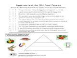 Draw A Food Web Worksheet with Free Worksheets Library Download and Print Worksheets Free O