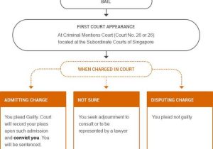 Due Process In Criminal Proceedings Worksheet Answers as Well as 28 Best Criminal Law Images On Pinterest