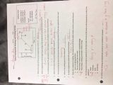 Earth's Early History Worksheet Answers as Well as Heat and States Matter Worksheet Answers the Best Workshe