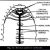 Earthworm Dissection Worksheet or Different Parts Of Nervous System Of Earthworm with Diagram