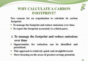 Ecological Footprint Calculator Worksheet together with 45 Carbon Footprint Essay Lamb Beef and Cheese Have St Food
