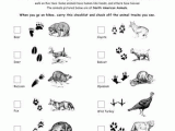 Ecological Footprint Worksheet and Animal Tracks Guide