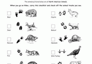 Ecological Footprint Worksheet and Animal Tracks Guide