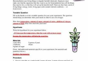 Ecological Footprint Worksheet Answers together with Dinosaur Breath Worksheet — Answer Key Teach Engineering