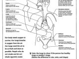 Effects Of Alcohol Worksheet Also 88 Best A&p Respiratory System Images On Pinterest