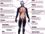 Effects Of Alcohol Worksheet and 14 Best Obesity Smoking and Alcohol Effects Images On Pinterest