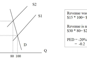 Elasticity Of Demand Worksheet Answers Along with Calculating Price Elasticity Of Demand