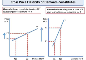 Elasticity Of Demand Worksheet Answers with Cross Price Elasticity Of Demand