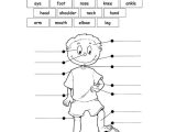Elementary Health Worksheets Along with 19 Best Englisch Images On Pinterest