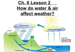 Energy Flow In Ecosystems Worksheet Answers Also 4th Gradech 3 Lesson 2 How Does Energy Flow In Ecosystems