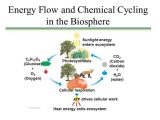 Energy Flow In Ecosystems Worksheet Answers and Synthesis How Do Plants Obtain and Use the Matter and E