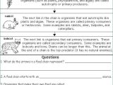 Energy Flow Worksheet Answers Along with Energy Flow In Ecosystems Worksheet Answers