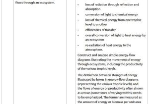 Energy Flow Worksheet Answers as Well as Worksheets 47 Fresh Ecological Succession Worksheet Hd Wallpaper