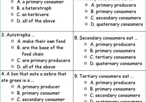 Energy Flow Worksheet Answers or Energy Flow In Ecosystems Worksheet Answers