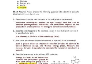 Energy In A Cell Worksheet Answers and Cell Energy Worksheet Answers Kidz Activities