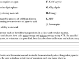 Energy In A Cell Worksheet Answers with Worksheets 43 Awesome Synthesis and Cellular Respiration