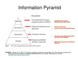 Energy Pyramid Worksheet Also Ppt Information Pyramid Powerpoint Presentation Id