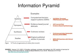 Energy Pyramid Worksheet Also Ppt Information Pyramid Powerpoint Presentation Id