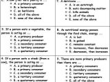 Energy Through Ecosystems Worksheet and Ecosystem Worksheet Answers Ecosystem Ener Ics Worksheet Answers