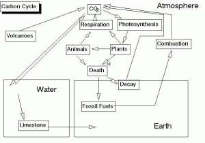 Energy Through Ecosystems Worksheet together with Environmental Biology Sequence Ecosystems