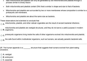 Energy Through Ecosystems Worksheet with theory Of Evolution A the Beginning Of Life B the Evolution Of