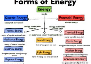 Energy Transfer In Living organisms Worksheet Along with What Does Magnetic Storage Mean Definition Meaning Bioskop2