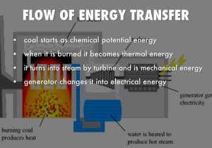 Energy Transfer In Living organisms Worksheet and Coal by Faith Saucier