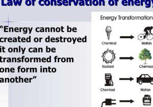 Energy Transfer In Living organisms Worksheet and Energy by Garry Joseph