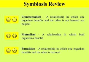 Energy Transfer In Living organisms Worksheet as Well as Types Symbiosis Worksheet the Best Worksheets Image Colle