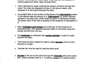 Energy Transfer In the atmosphere Worksheet Answers Also the Absorption Chlorophyll Worksheet Answers Printable