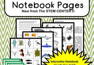 Energy Vocabulary Worksheet and Ecology Interactive Science Notebook