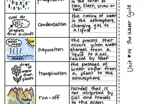 Environmental Science Worksheets and Resources Answers together with Energy Vocabulary Worksheet Kidz Activities
