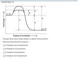 Enzyme Graphing Worksheet together with 32 Inspirational Enzyme Graphing Worksheet