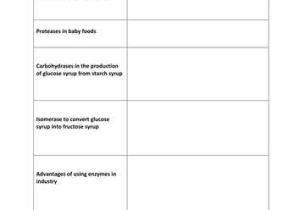 Enzyme Reaction Rates Worksheet Also Worksheet On Use Of Enzymes In Industry Aqa B2 by Scienefun