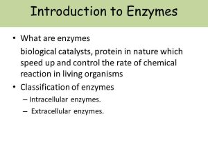 Enzyme Reaction Rates Worksheet together with Enzymes Name Chebet Milton Contact Subject Biology topic