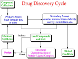 Enzyme Virtual Lab Worksheet Answers together with Drug Development