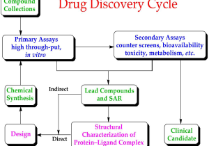 Enzyme Virtual Lab Worksheet Answers together with Drug Development