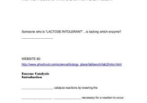 Enzymes and their Functions Worksheet Answers and Ap Biology Enzyme Webquest