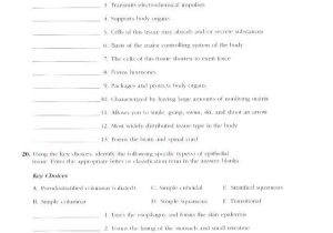 Epithelial Tissue Coloring Worksheet or Wunderbar Anatomy and Physiology Coloring Book Pdf Zeitgenössisch
