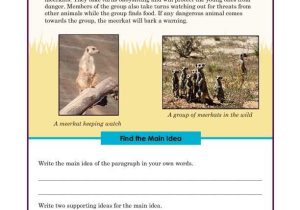 Erie Canal Worksheet Pdf together with 75 Best Unit 1 Mcgraw Hill Wonders 3rd Images On Pinterest