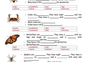 Esl Filling Out forms Practice Worksheet and Animals Vertebrates and Invertebrates Worksheet Free Esl Printable