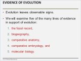 Evolution by Natural Selection Worksheet Answers Along with Evolution Worksheet Great Patterns Evolution Worksheet