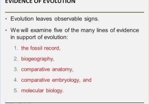 Evolution by Natural Selection Worksheet Answers Along with Evolution Worksheet Great Patterns Evolution Worksheet