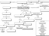 Evolution by Natural Selection Worksheet Answers together with Printables Evolution Worksheet Freegamesfriv Worksheets Printables
