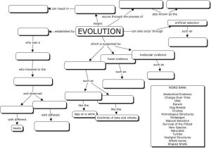 Evolution by Natural Selection Worksheet Answers together with Printables Evolution Worksheet Freegamesfriv Worksheets Printables