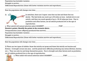 Evolution by Natural Selection Worksheet with Evolution Worksheet Amazing Bill Nye Evolution Worksheet Answers